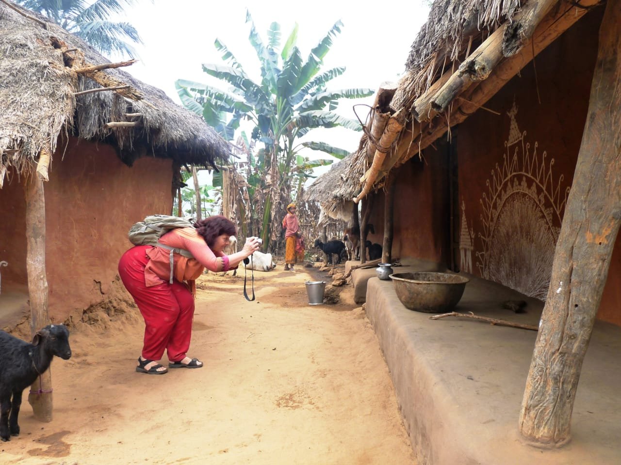 Kila Dalijoda activity