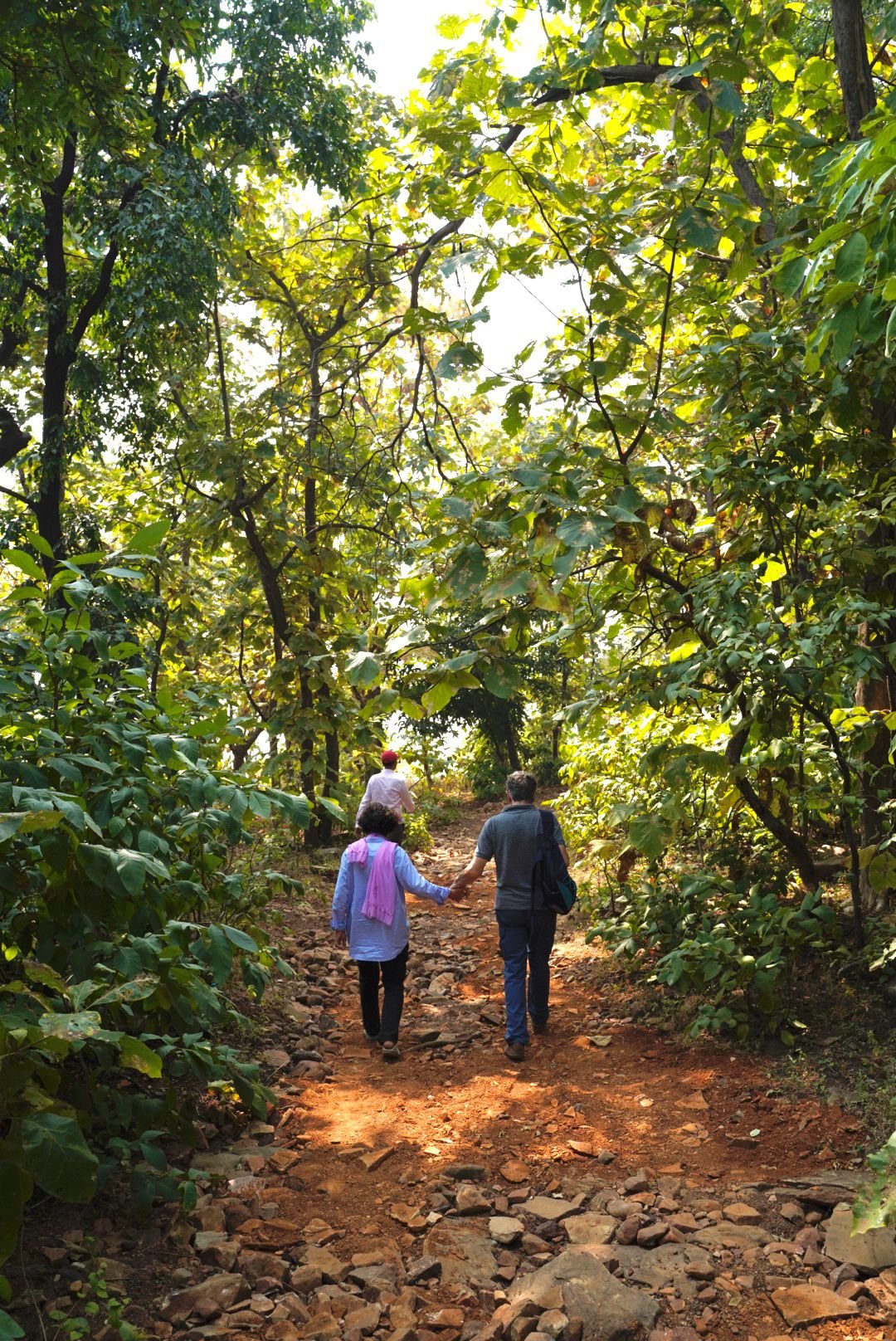 Nature at Kila Dalijoda